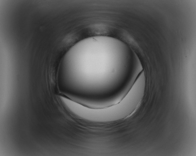 X0000083020170200703022012