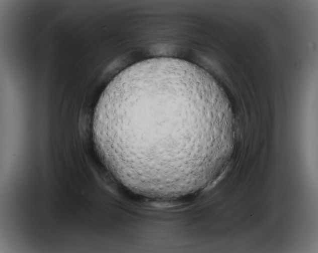 X0000083020171200703022012