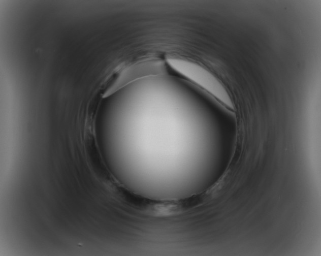 X0000083020172200703022012