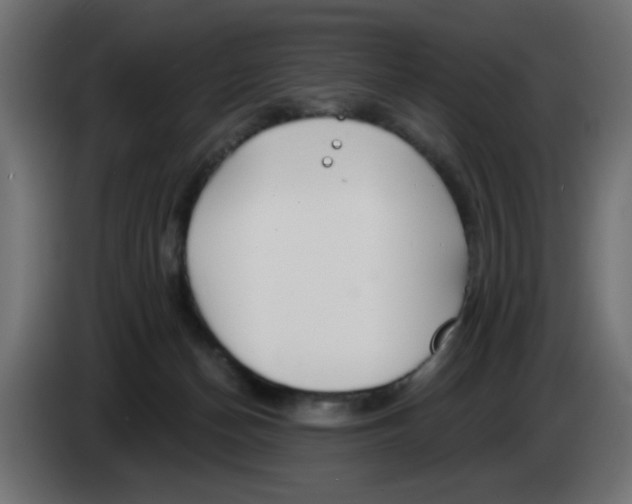 X0000083020174200703022012