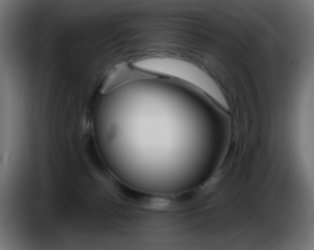 X0000083020176200703022012