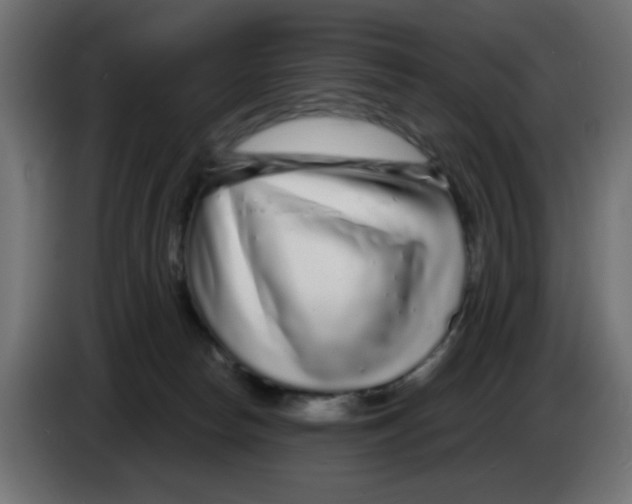 X0000083020178200703022012