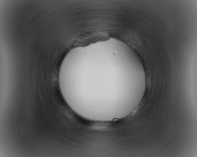 X0000083020179200703022012