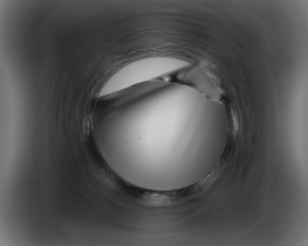 X0000083020180200703022012