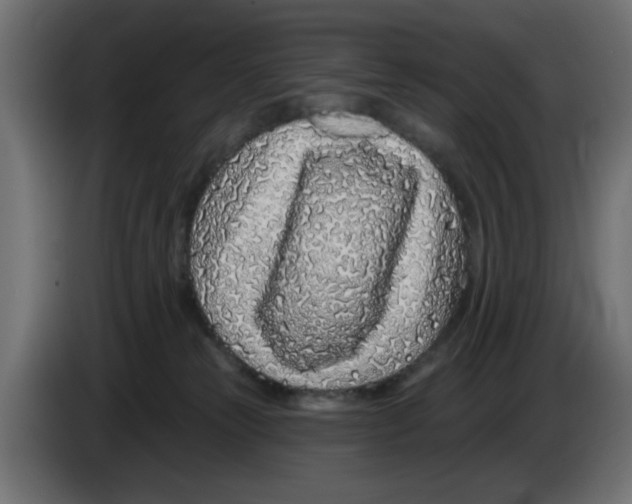 X0000083020181200703022012