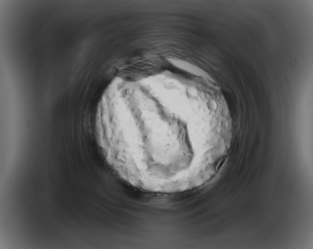 X0000083020182200703022012