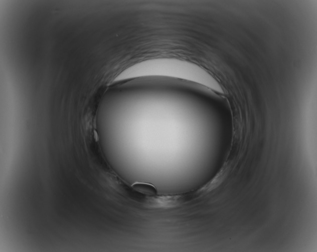 X0000083020184200703022012