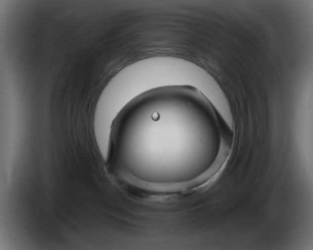 X0000083020190200703022012