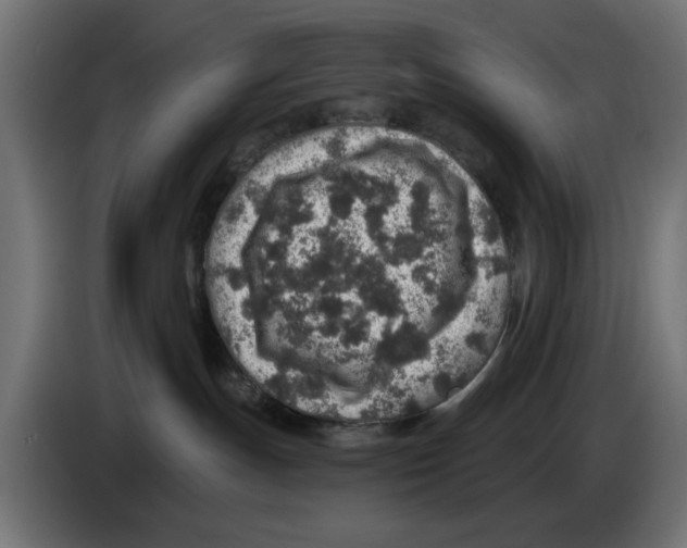 X0000083020191200703022012