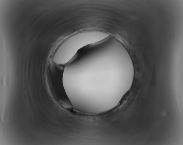 X0000083020193200703022011