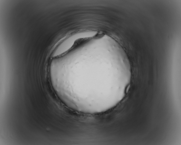 X0000083020194200703022011