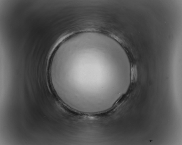 X0000083020195200703022011