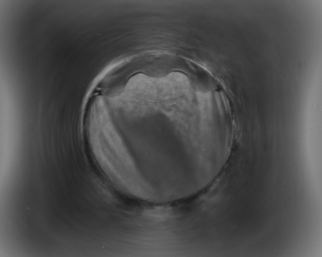 X0000083020196200703022011