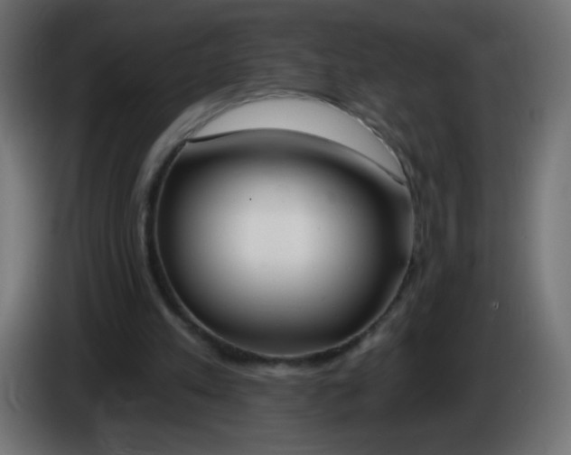 X0000083020197200703022011