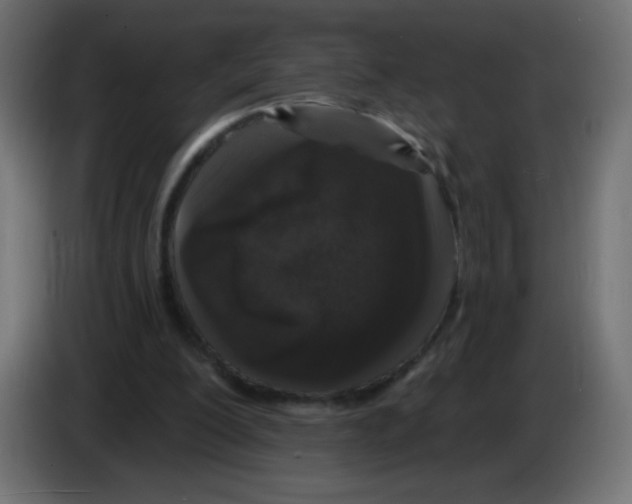 X0000083020200200703022011