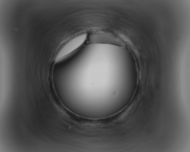 X0000083020201200703022011