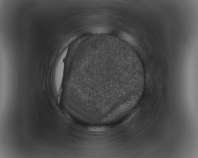 X0000083020202200703022011