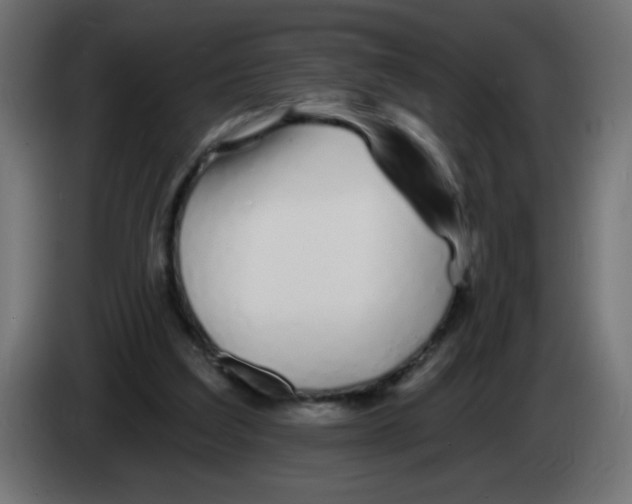 X0000083020203200703022011