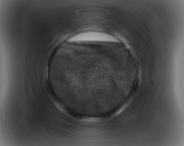 X0000083020205200703022011