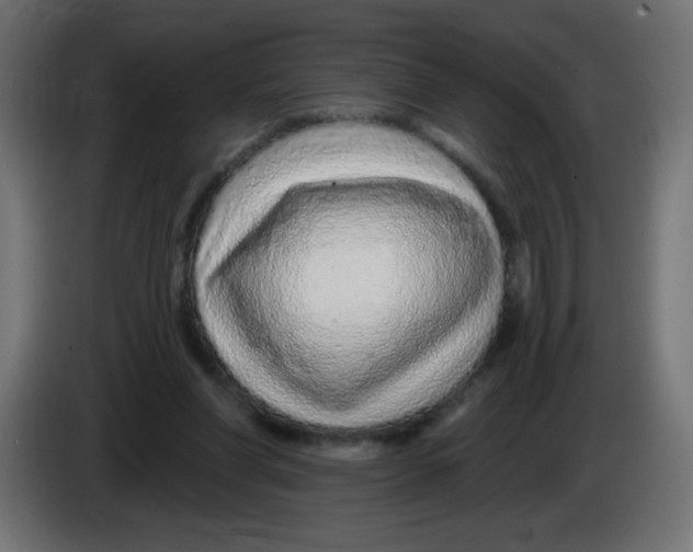 X0000083020206200703022011