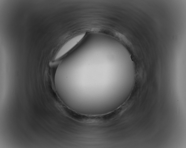 X0000083020209200703022011