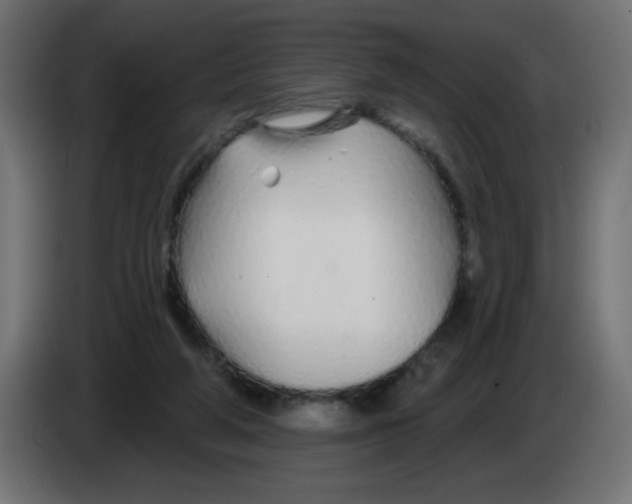 X0000083020210200703022011