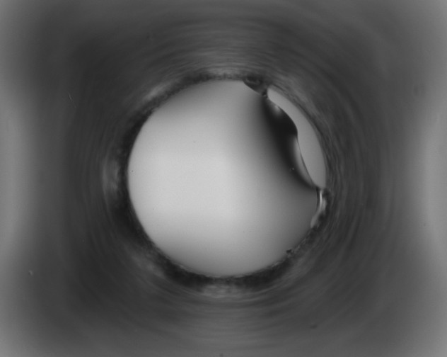 X0000083020211200703022011