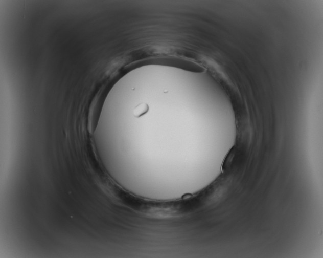 X0000083020213200703022011