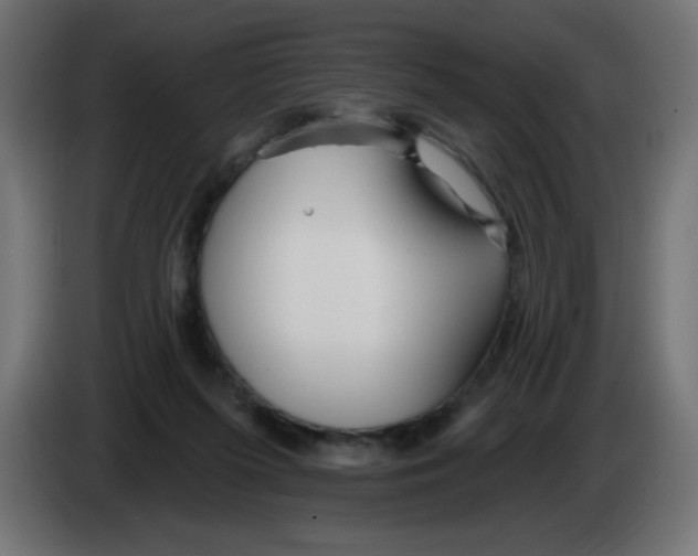 X0000083020215200703022011