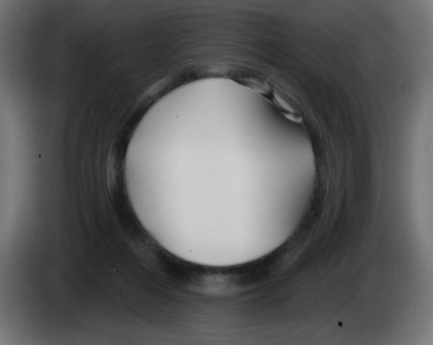 X0000083020216200703022011