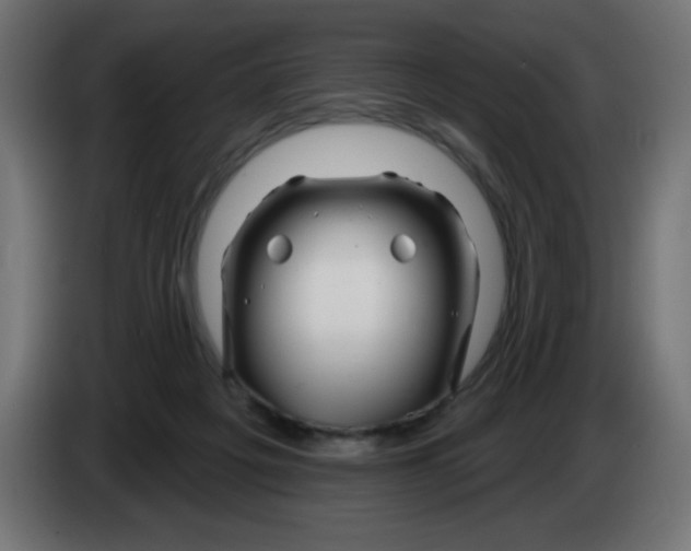 X0000083020217200703022011