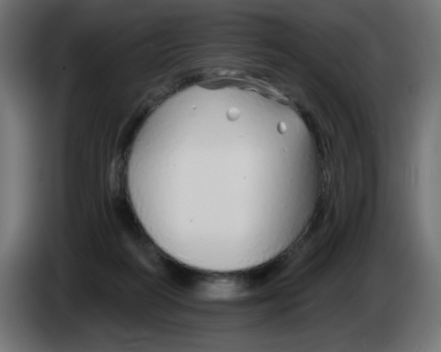 X0000083020218200703022011