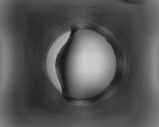 X0000083020221200703022011