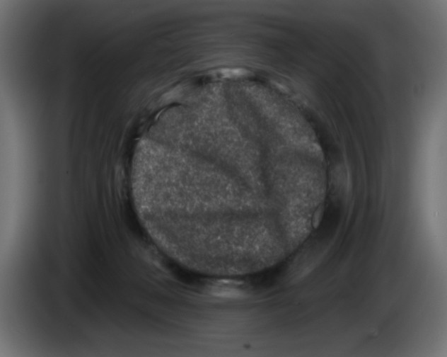 X0000083020222200703022011