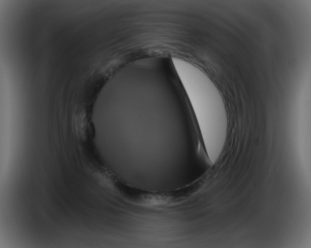 X0000083020223200703022011