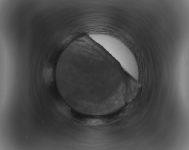 X0000083020224200703022011