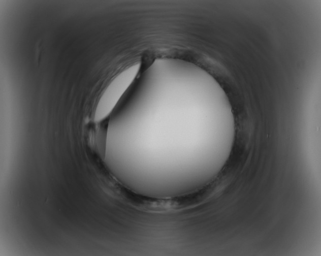 X0000083020225200703022011