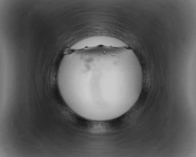 X0000083020226200703022011