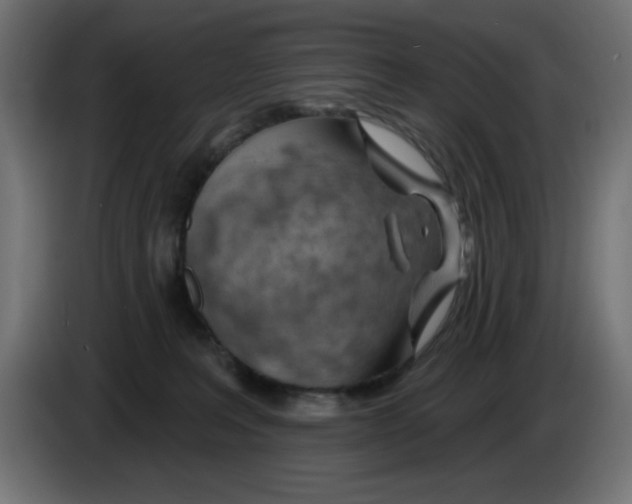 X0000083020227200703022011