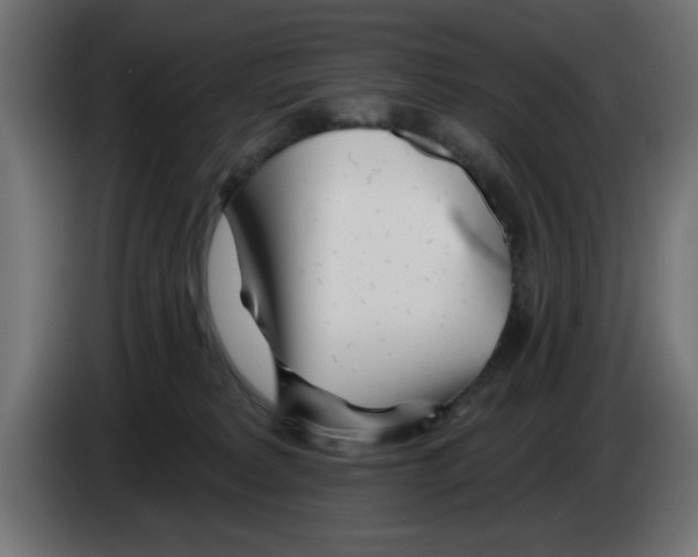 X0000083020229200703022011