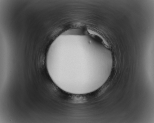 X0000083020230200703022011