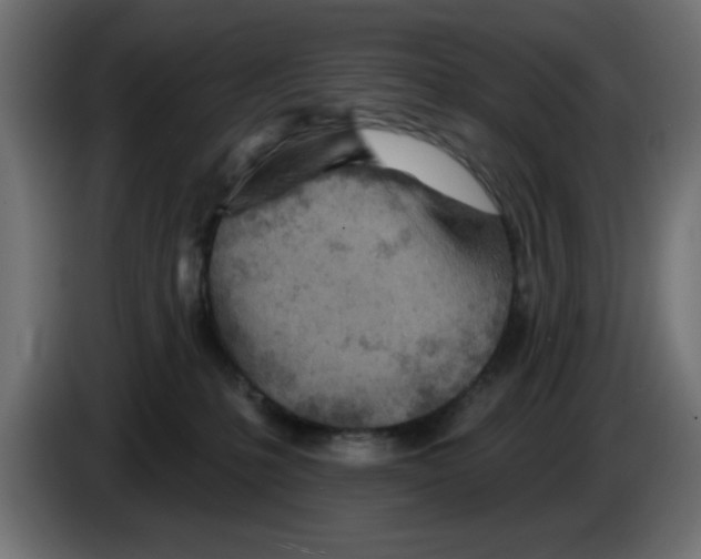 X0000083020231200703022011