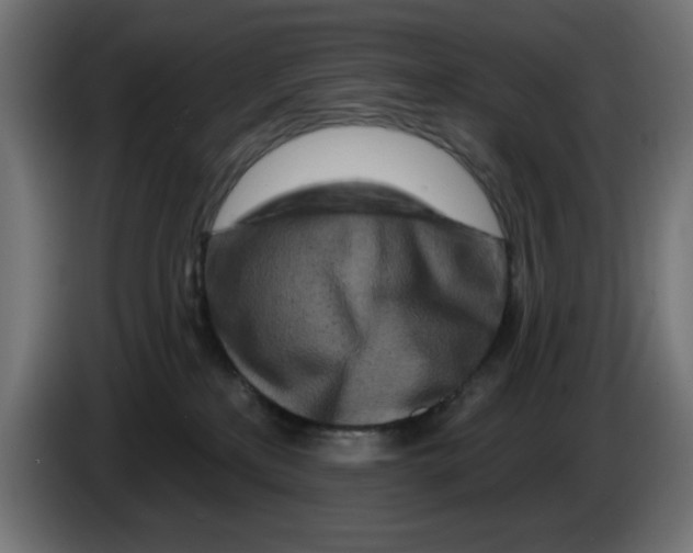 X0000083020233200703022011