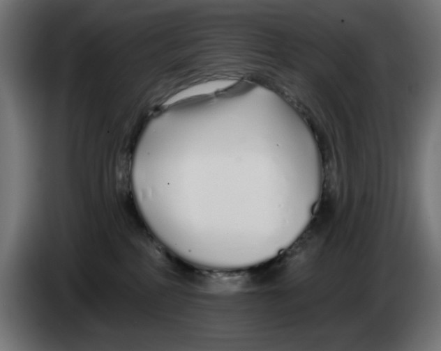 X0000083020234200703022011