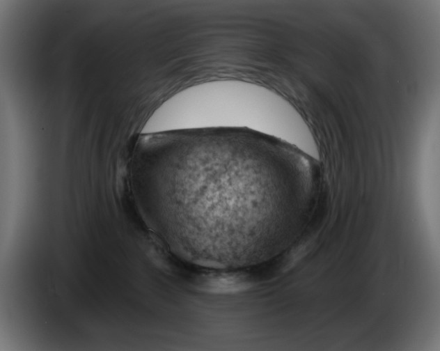 X0000083020235200703022011