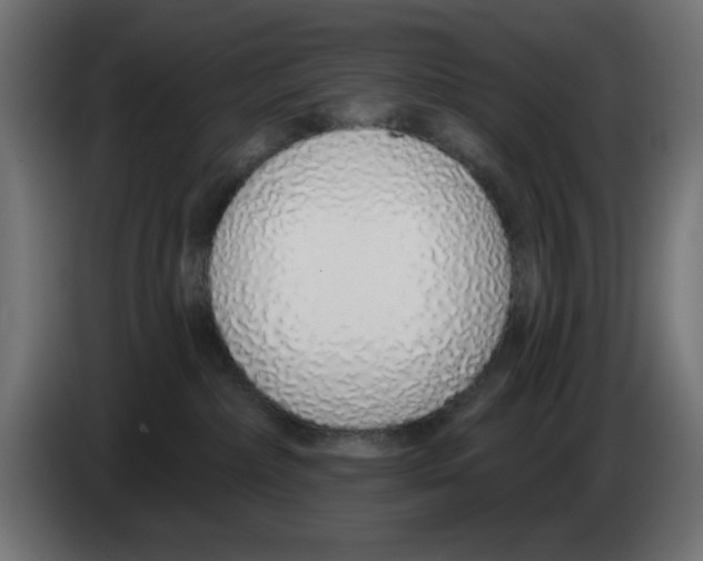 X0000083020236200703022011