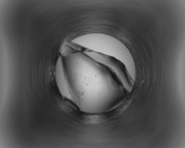 X0000083020237200703022011