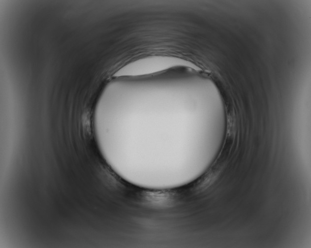 X0000083020238200703022011