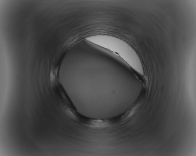 X0000083020239200703022011