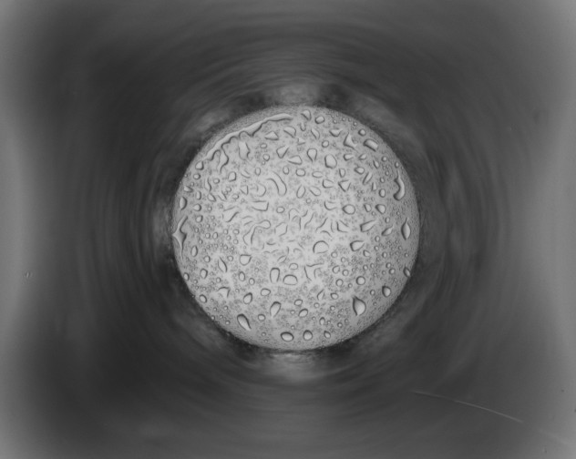 X0000083020240200703022011